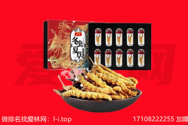 沿滩区回收虫草.jpg